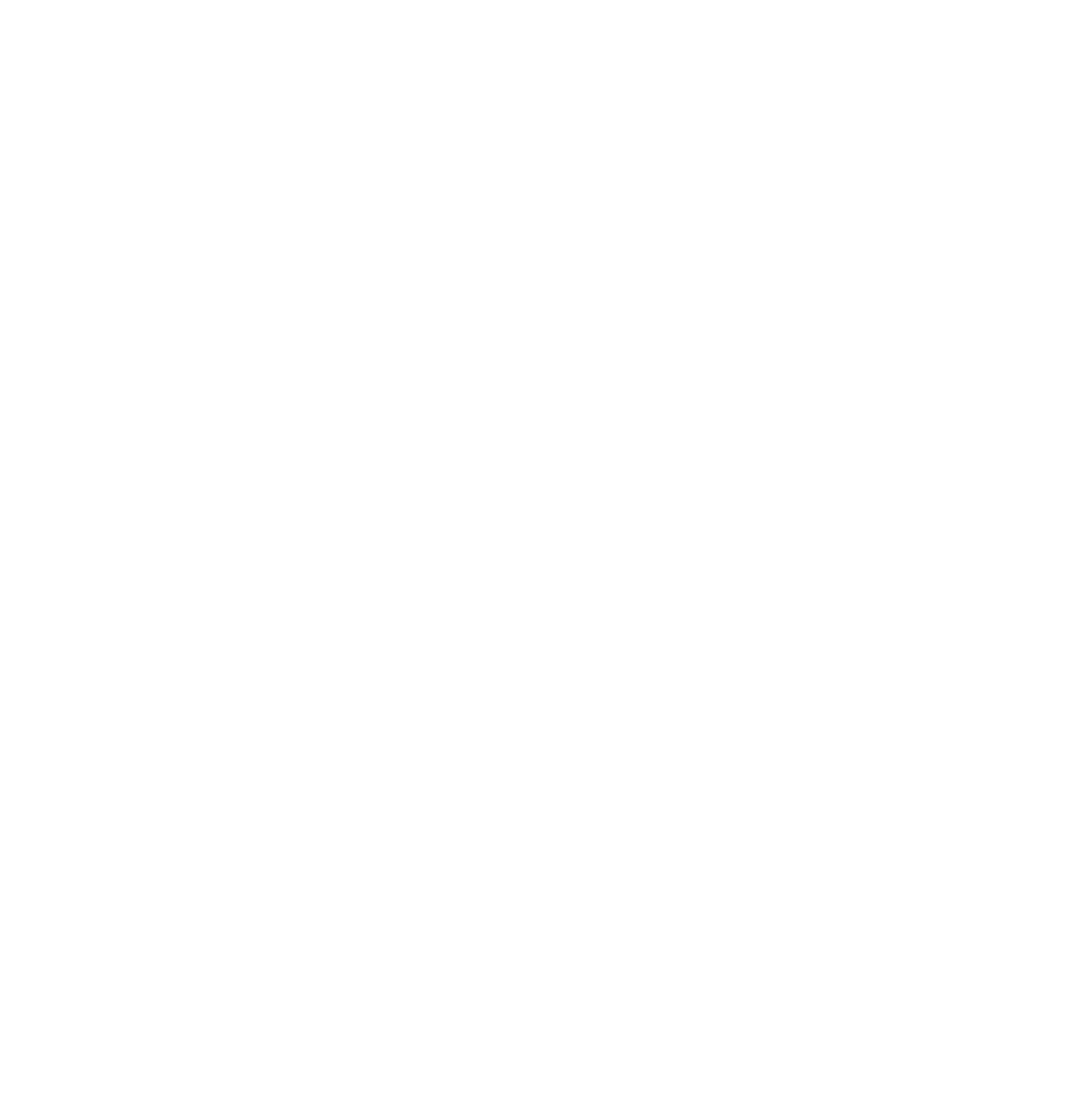 RAVIT