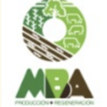 MBA